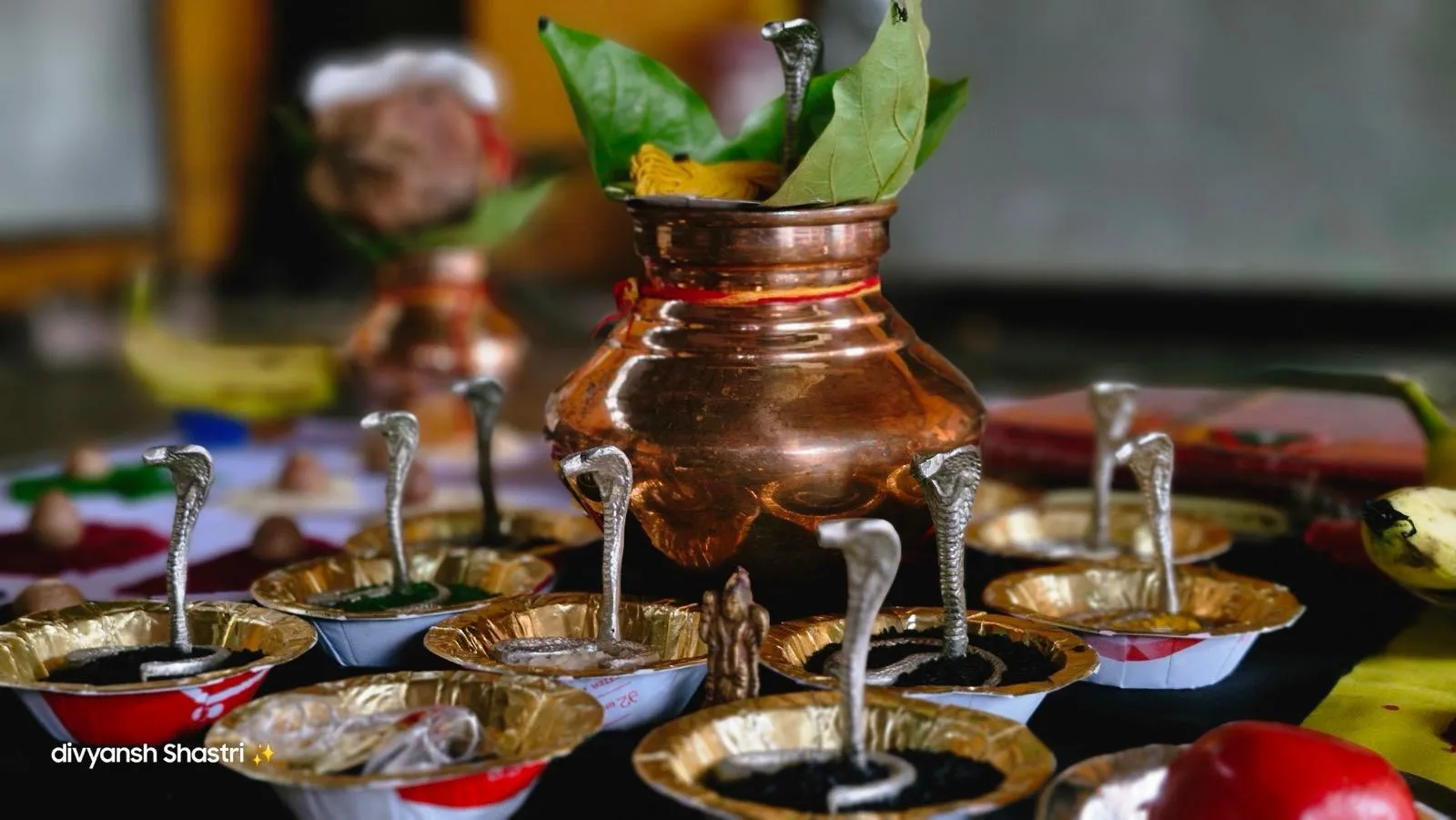 Kaal Sarp Dosh Puja